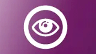 Vision
